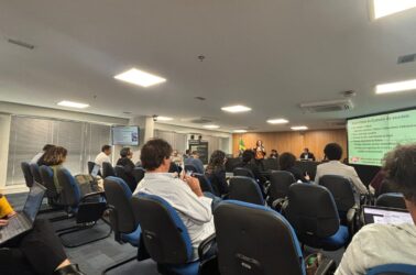 01 - Crédito_ Emily Costa_gt infra