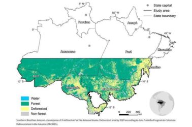 21c73a64efb905b3ea5509599ab04809_16206568936202_2012313381