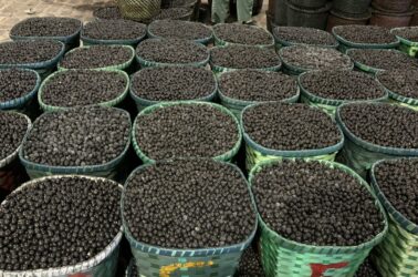 Feira do Açaí em Belém do Pará | Créditos: Emily Costa