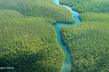 970x453_089c25e89db33570e0c5626ff968e439