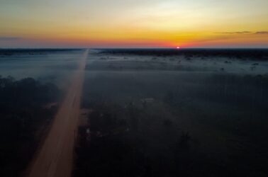 BR-319 – Foto Michael Dantas – WCS Brasil 3 Nascer do sol em um trecho na BR-319, próximo ao município do Careiro Castanho, no Amazonas. Foto: Michael Dantas.