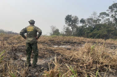 Ibama em campo | Foto: Agência Santarém