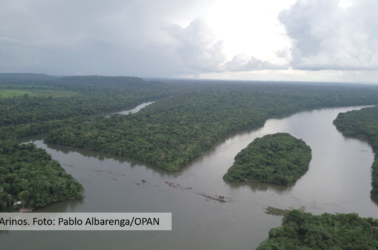 Rio Arinos_Pablo Avarenga_OPAN.jpg