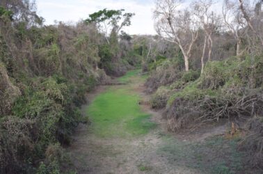 WhatsApp Image 2021-09-06 at 17.46.44