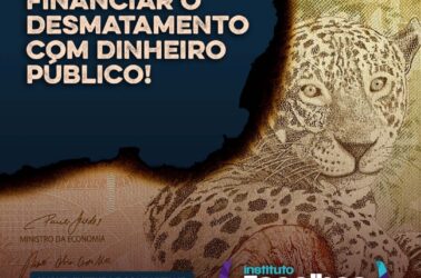 WhatsApp Image 2021-10-13 at 18.08.54