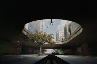 africa-arvore-refugiada