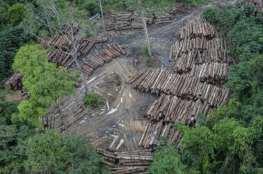 desmatamento-730x410-1