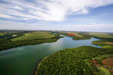 floresta-Itaipu-Alexandre-MarchettiItaipu-Binacional