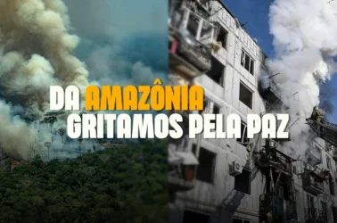 imagen-llamado-amazonia-por