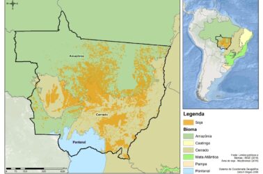 relatorio-soja-desmat-port1