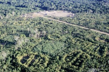 roca_panara_versao2_pedro_martinelli